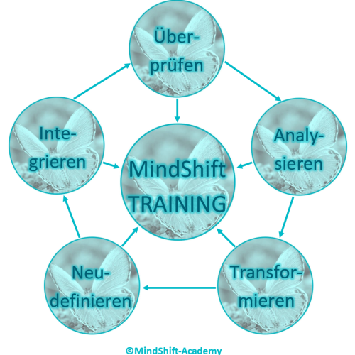MindShift-TRAINING Prozess-Schema